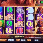 How to Win Big in NG Slots